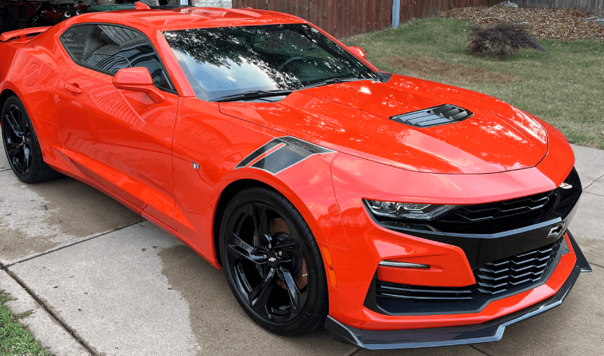 PAINT PROTECTION